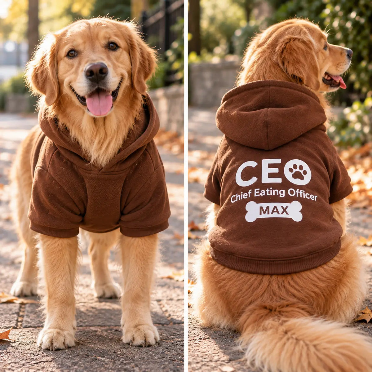 Personalized Dog Boss Hoodie – CEO, CTO, CMO & CFO