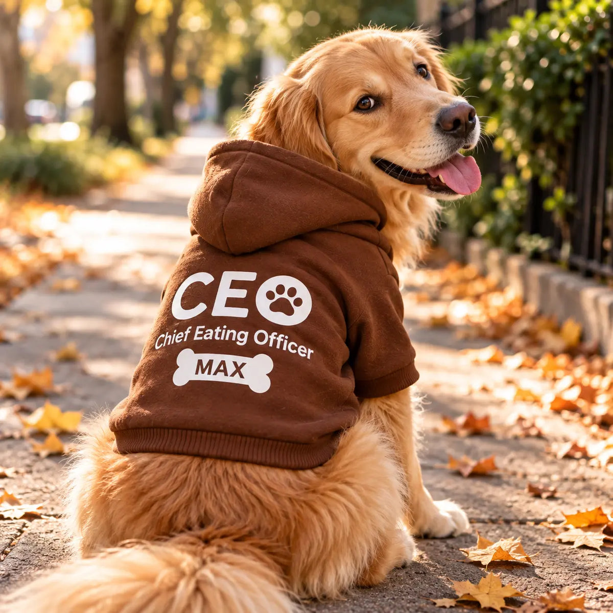 Personalized Dog Boss Hoodie – CEO, CTO, CMO & CFO